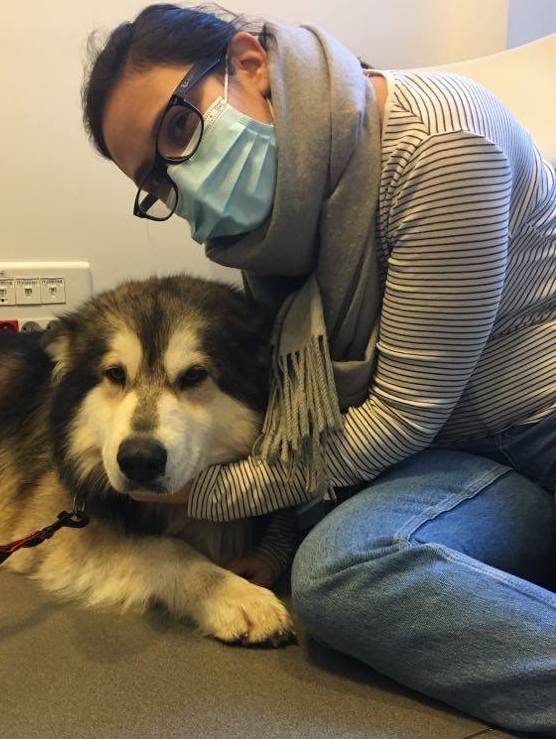 143779709_850728019082303_7257954247999795943_n